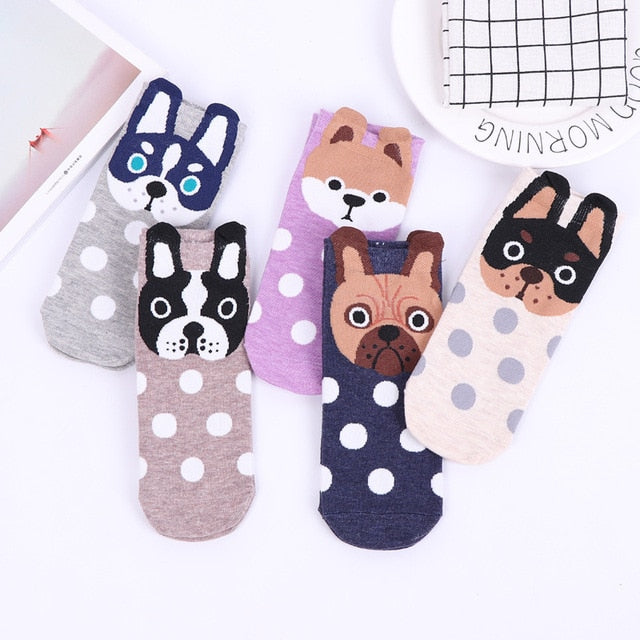 'I Am Connected To The Universe' Women's Dog Socks (5 Pairs).